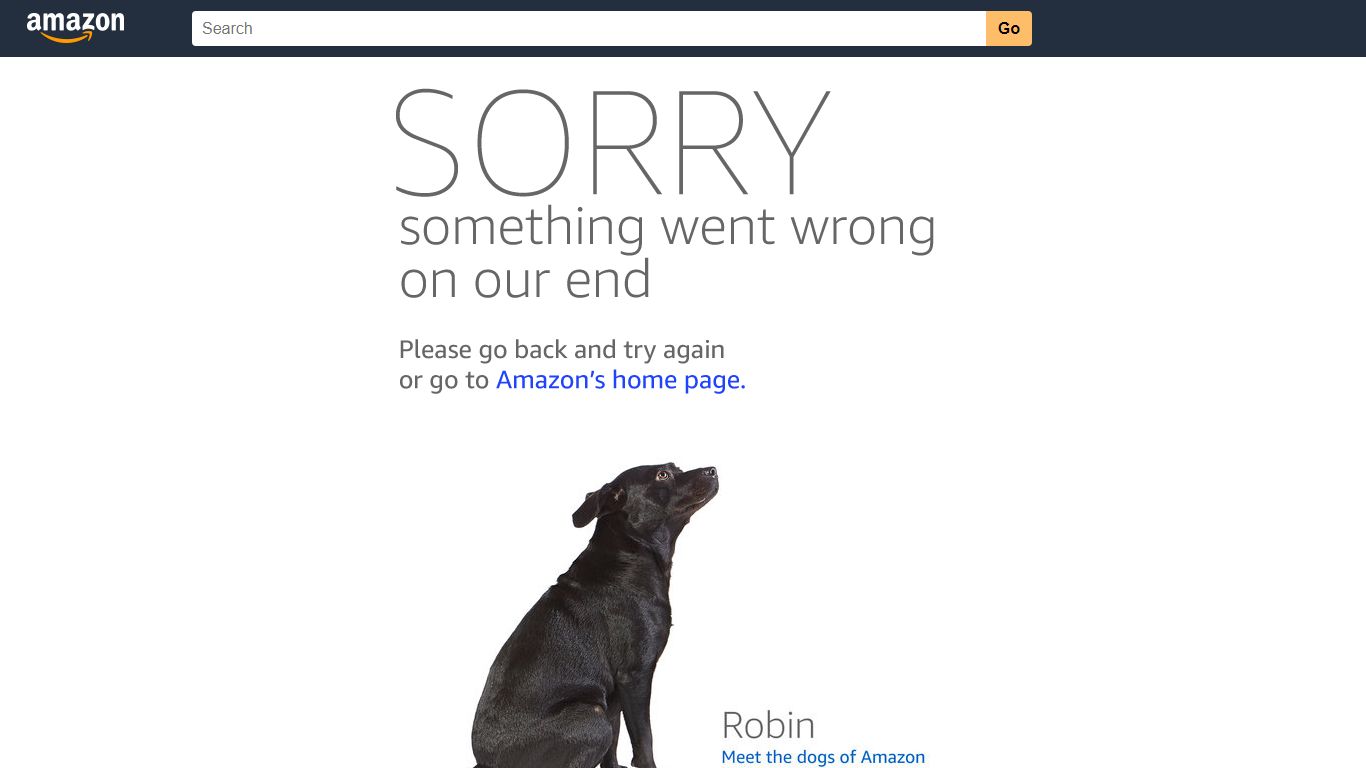 Amazon.com: new doh